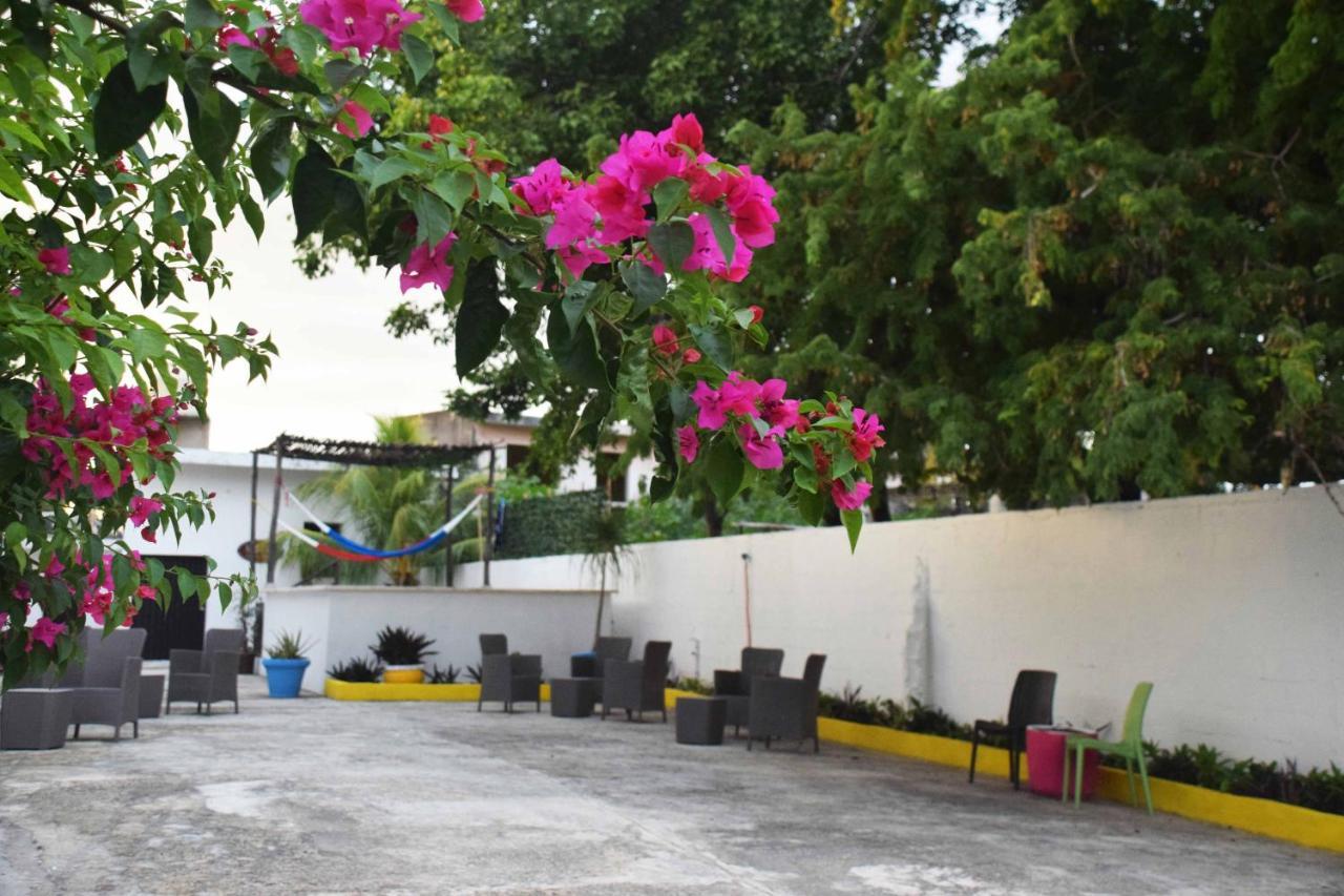 Hostal Casa Bohemia Mérida Eksteriør bilde
