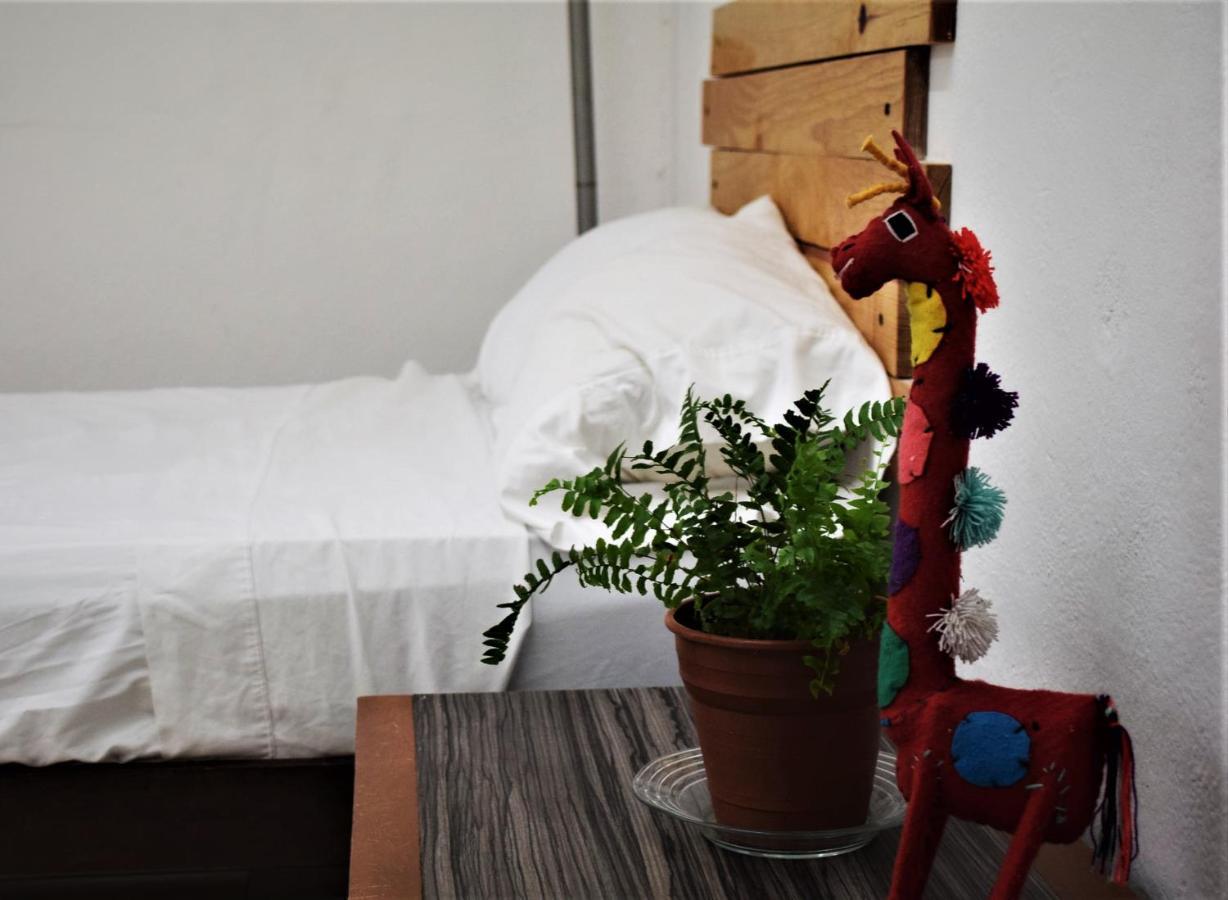 Hostal Casa Bohemia Mérida Eksteriør bilde
